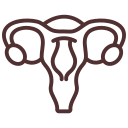 Acerca de mi servicio